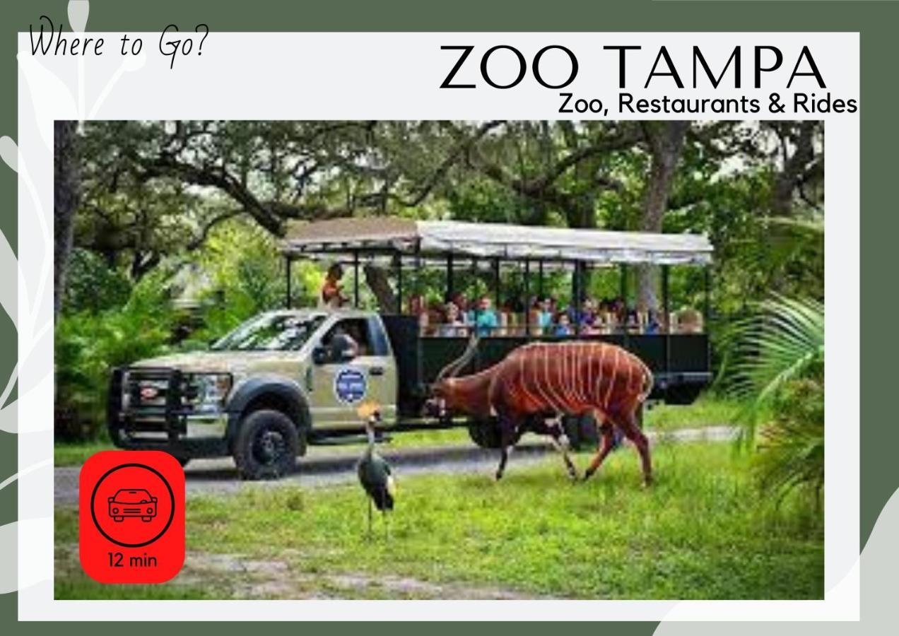 Cozy Home In Tampa Near Ybor & Busch Gardens Exterior foto